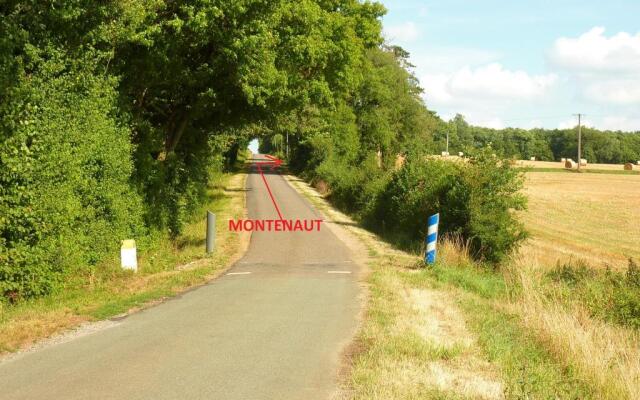 Montenaut (Adults Only)