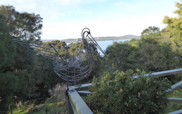 Sea Banksia