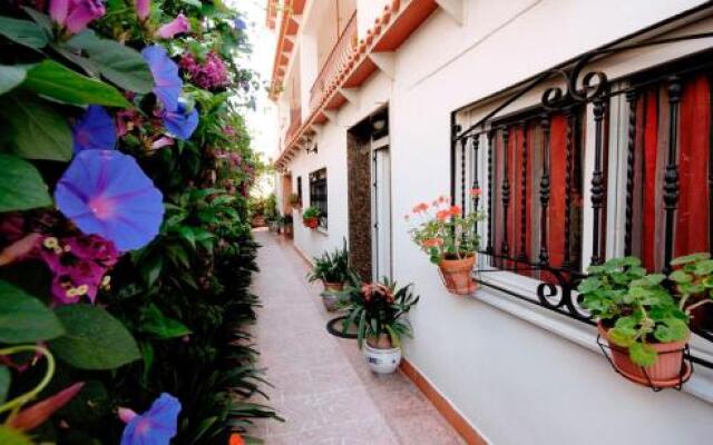 Gandialco Gandia Playa