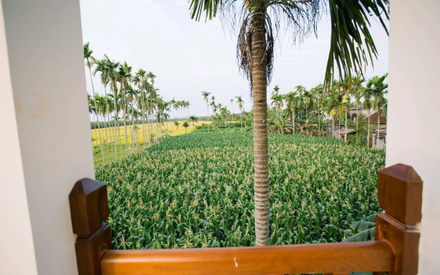 New Sunshine Homestay
