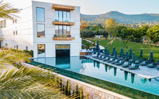 The Norm Collection Door'a