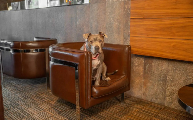 Hilton Garden Inn Santiago Airport