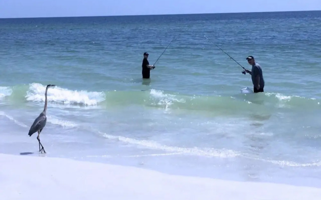 Anna Maria Island 1303 - 2
