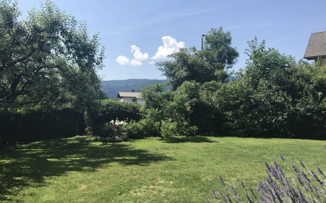 Beautiful Apartment in West of Slovenia With Garden