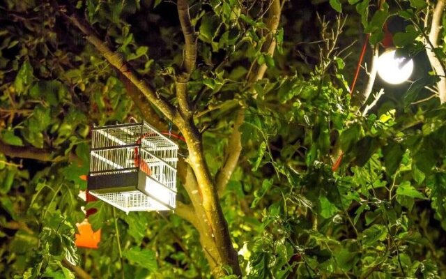 Zorbas Hotel Santorini