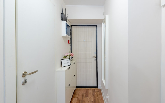 Inndays Apartment on Belyaevo 69