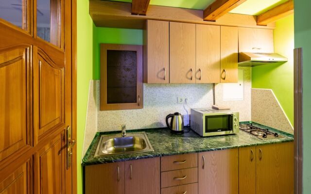 Duplex apartment on Svobody Avenue