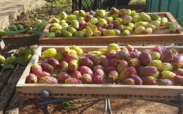 Le Radici Casa Vacanze