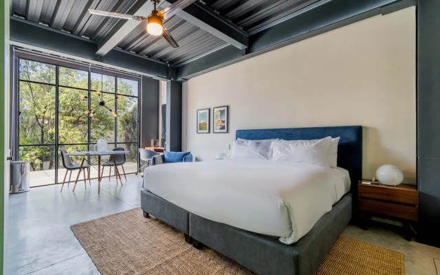 Wynwood House Querétaro