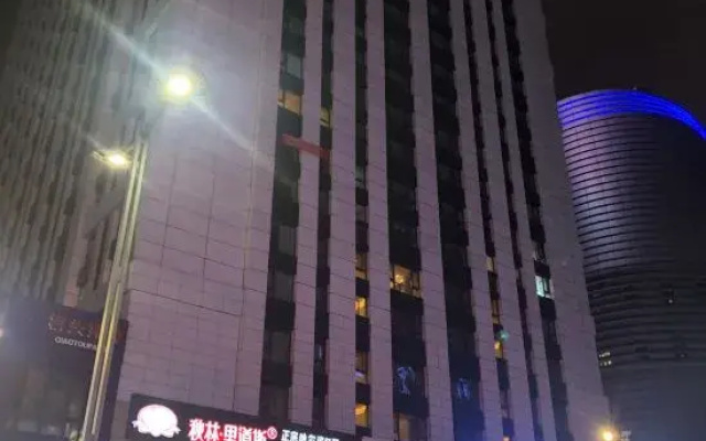 Vienna Hotel (Harbin High-speed Railway Wanda Plaza)