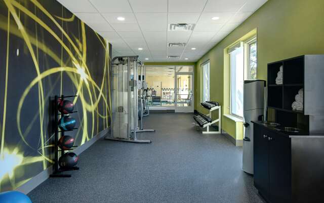 Hilton Garden Inn Detroit Metro Airport