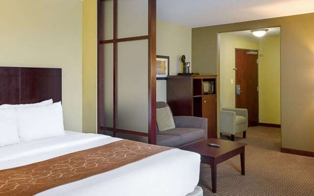 Comfort Suites Harvey - New Orleans West