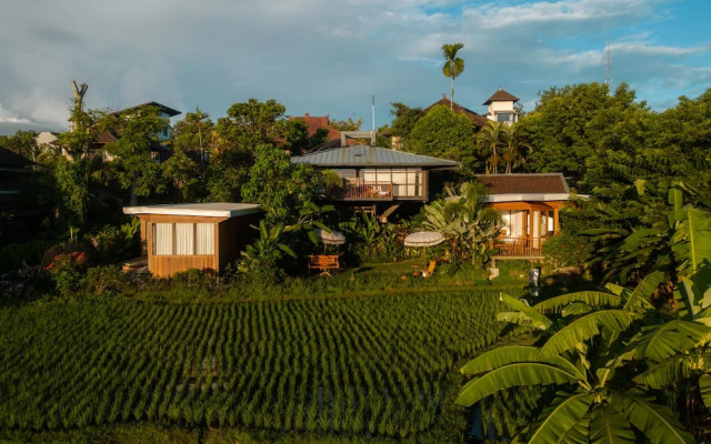 Grün Ubud