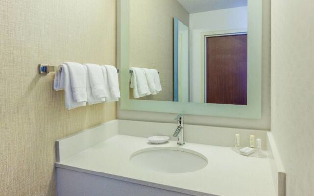 SpringHill Suites Minneapolis West/St. Louis Park