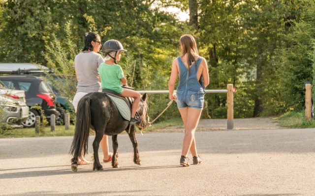 Castel Parc De Fierbois