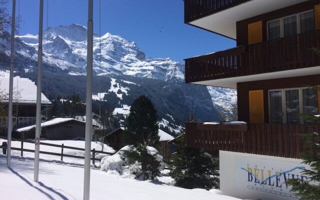 Hotel Bellevue Wengen - Best view in town