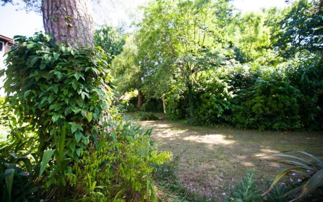 Honest University Apartment 2