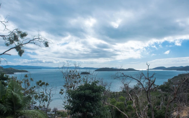 Panorama 11