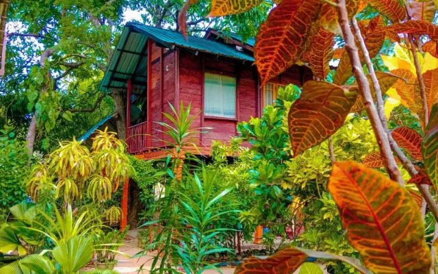 Sigiri Sky Home & Tree House