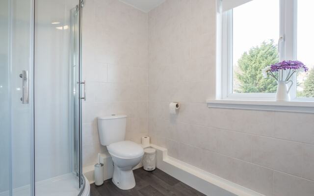Teifi Netpool