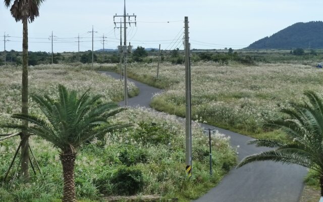 Jeju GreenNarae