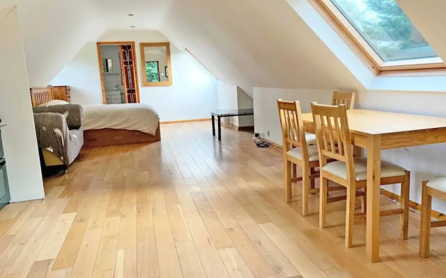 The forest wooden Flat