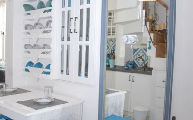 Dzg House