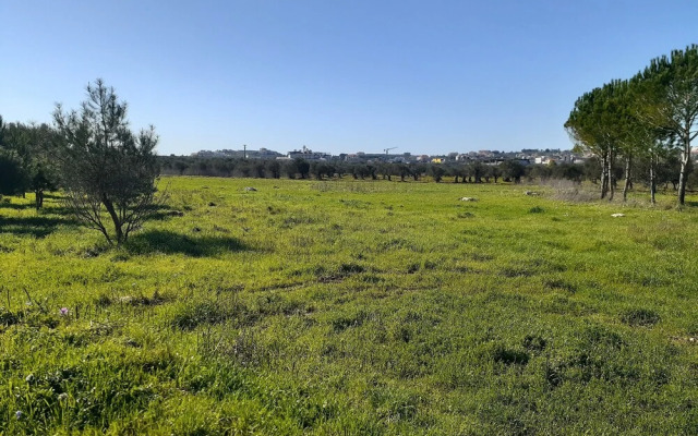 The Ranch - Lodge & Equestrian Center