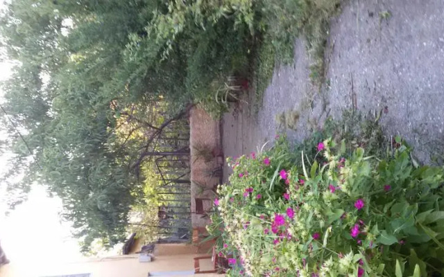 Guest House City Shkodra