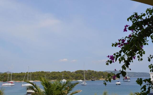 Davor - 20m From sea - A1