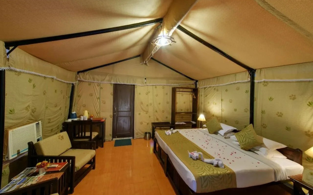 Gir Lion Safari Camp