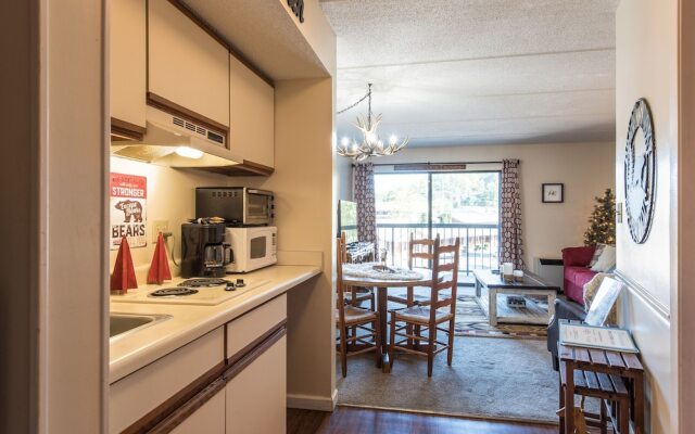 Charming 1BR Downtown Gatlinburg