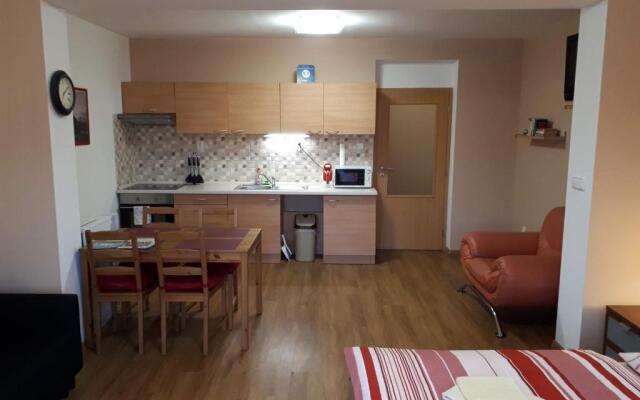 Czech Switzerland Castle Apartments