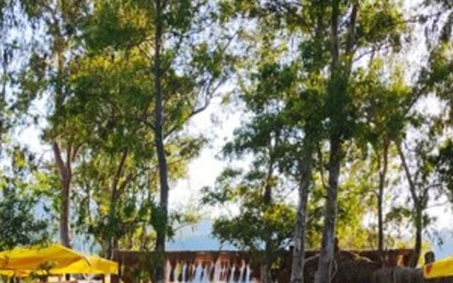 Albatros Beach Restaurant & Butik Otel