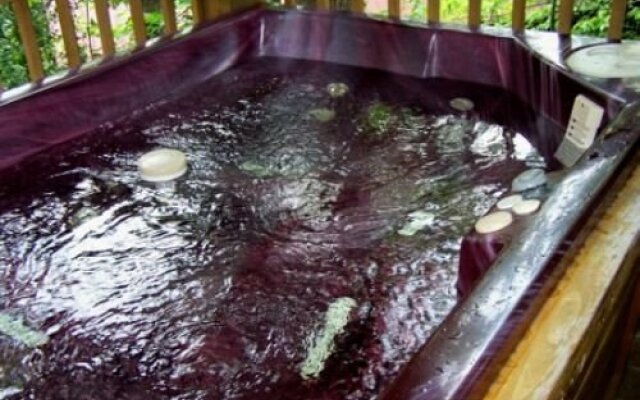 Mountain Shadow Resort