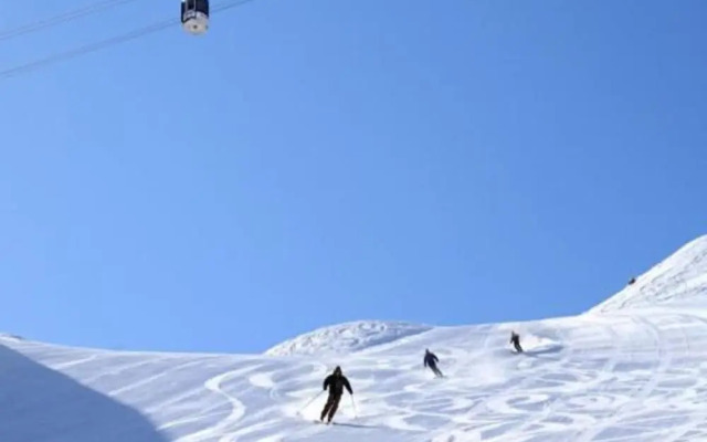 Modern Alpine Apartment