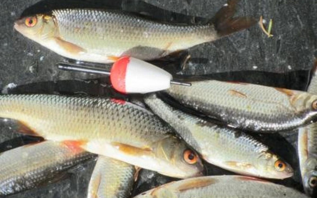 Holiday Home Rukaniemen kontio