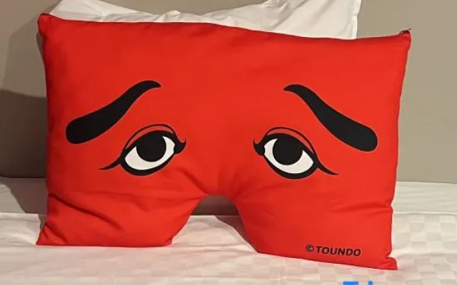 Niwaka Senpei Twin room (트윈 침대 2개) 사진 2
