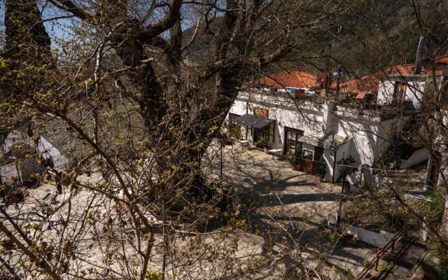 Stamoulis' house