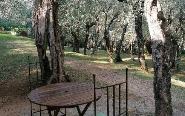 Casina Versilia