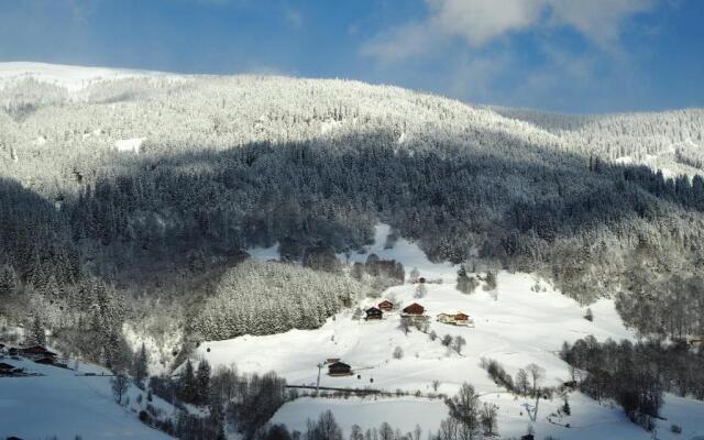 Apartment Smaragdblick Wildkogel