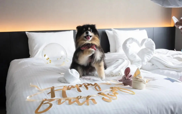 hotel anddoggy Kyoto Nijo