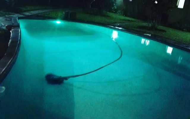 Birdville BNB Guest House