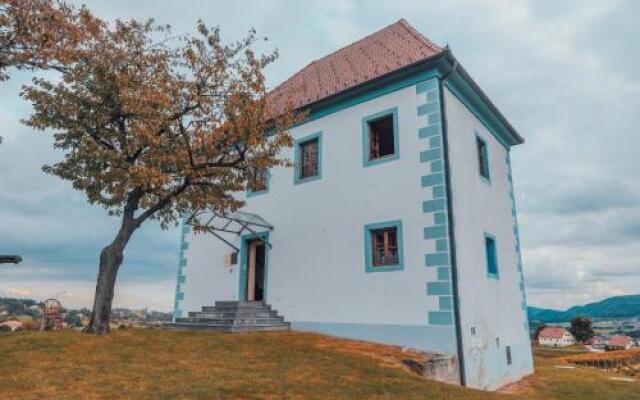 Wine Grower's Mansion Zlati Gric