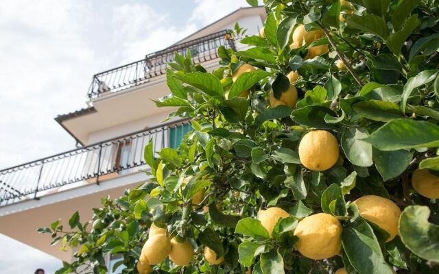 Residence Oleandro