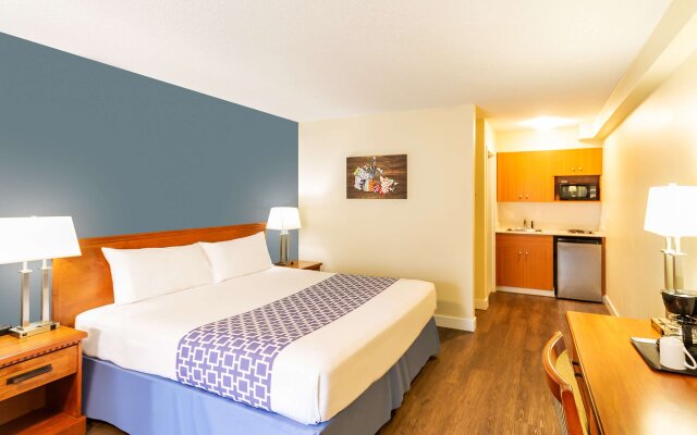 Econo Lodge Inn & Suites University