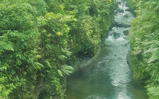 Serenity Lodges Dominica