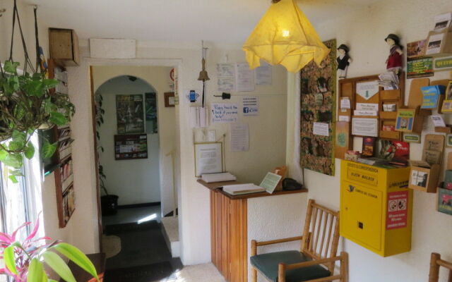 Hostal Plantas y Blanco