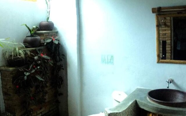 Ecolodge Bukit Lawang - Hostel