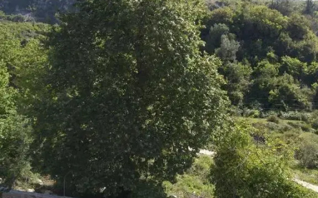 Hotel Afrodite